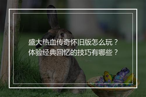 盛大热血传奇怀旧版怎么玩？体验经典回忆的技巧有哪些？