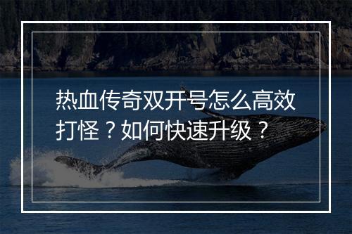 热血传奇双开号怎么高效打怪？如何快速升级？