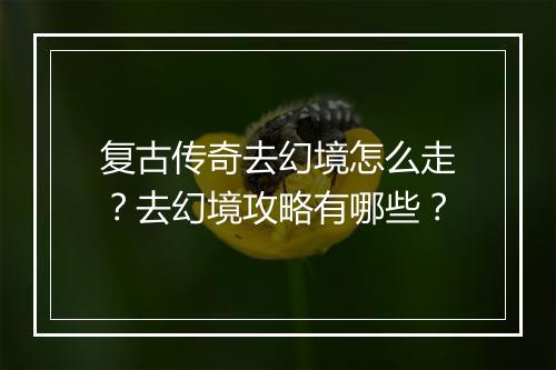 复古传奇去幻境怎么走？去幻境攻略有哪些？