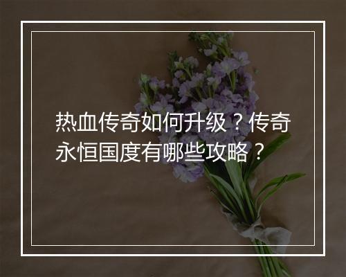 热血传奇如何升级？传奇永恒国度有哪些攻略？