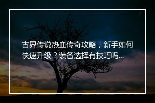古界传说热血传奇攻略，新手如何快速升级？装备选择有技巧吗？
