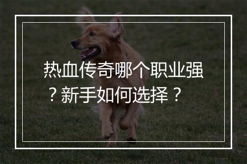 热血传奇哪个职业强？新手如何选择？