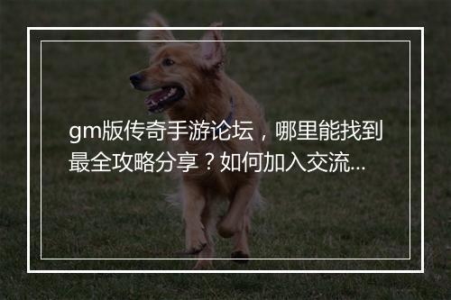 gm版传奇手游论坛，哪里能找到最全攻略分享？如何加入交流群？