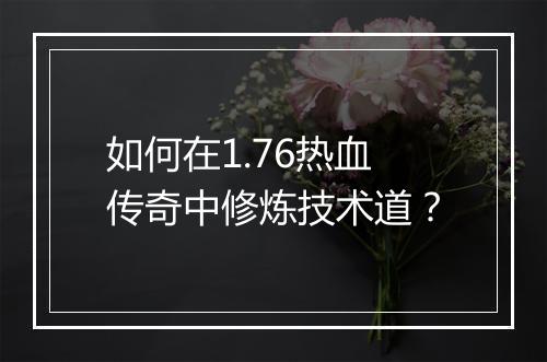 如何在1.76热血传奇中修炼技术道？