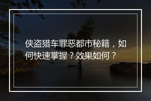 侠盗猎车罪恶都市秘籍，如何快速掌握？效果如何？