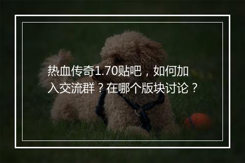 热血传奇1.70贴吧，如何加入交流群？在哪个版块讨论？