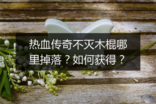 热血传奇不灭木棍哪里掉落？如何获得？