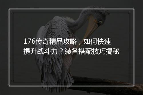 176传奇精品攻略，如何快速提升战斗力？装备搭配技巧揭秘