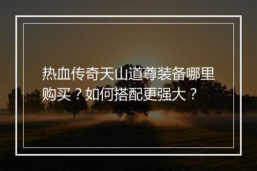 热血传奇天山道尊装备哪里购买？如何搭配更强大？