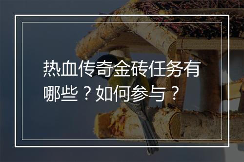 热血传奇金砖任务有哪些？如何参与？