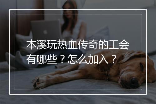本溪玩热血传奇的工会有哪些？怎么加入？