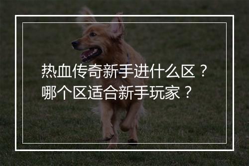 热血传奇新手进什么区？哪个区适合新手玩家？