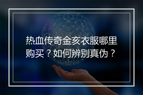 热血传奇金亥衣服哪里购买？如何辨别真伪？