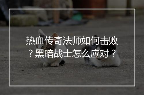 热血传奇法师如何击败？黑暗战士怎么应对？
