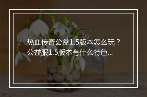 热血传奇公益1.5版本怎么玩？公益服1.5版本有什么特色？