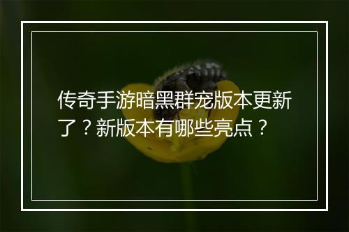 传奇手游暗黑群宠版本更新了？新版本有哪些亮点？