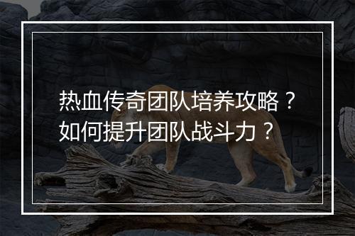 热血传奇团队培养攻略？如何提升团队战斗力？