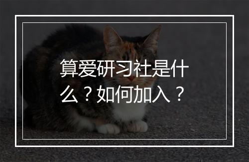 算爱研习社是什么？如何加入？