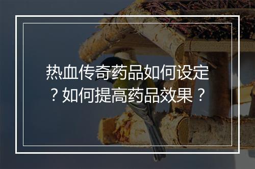 热血传奇药品如何设定？如何提高药品效果？