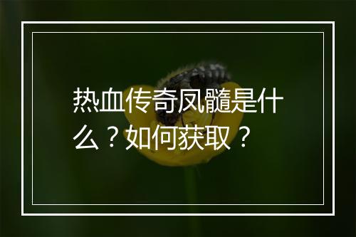 热血传奇凤髓是什么？如何获取？