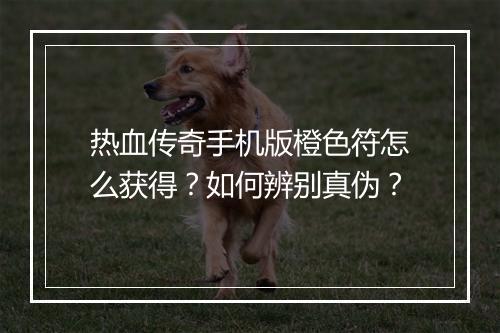 热血传奇手机版橙色符怎么获得？如何辨别真伪？