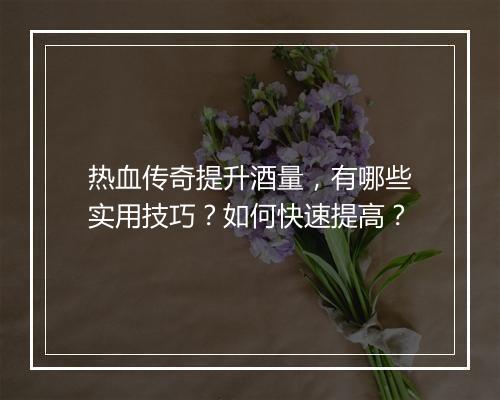热血传奇提升酒量，有哪些实用技巧？如何快速提高？