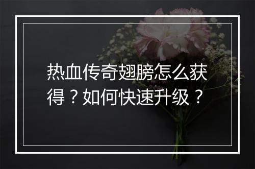 热血传奇翅膀怎么获得？如何快速升级？
