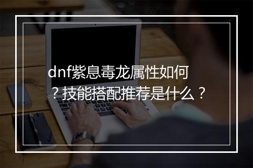 dnf紫息毒龙属性如何？技能搭配推荐是什么？