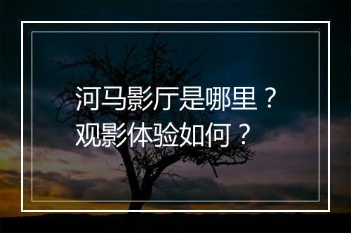 河马影厅是哪里？观影体验如何？