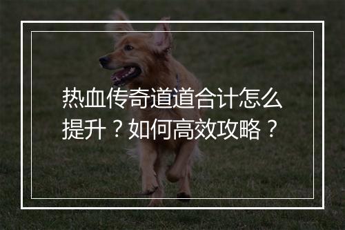 热血传奇道道合计怎么提升？如何高效攻略？