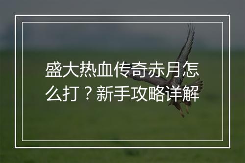 盛大热血传奇赤月怎么打？新手攻略详解