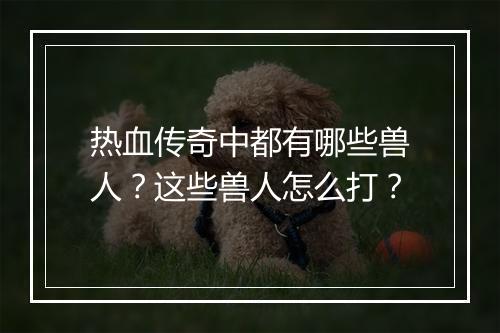 热血传奇中都有哪些兽人？这些兽人怎么打？