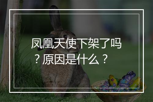 凤凰天使下架了吗？原因是什么？
