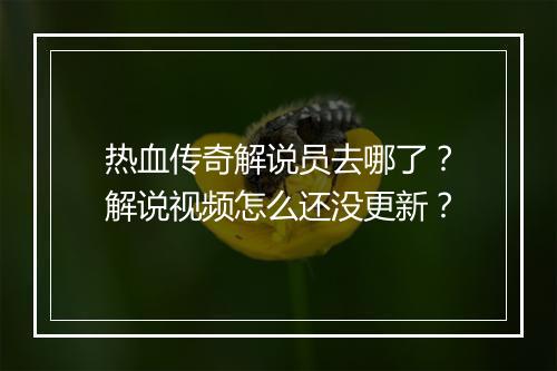 热血传奇解说员去哪了？解说视频怎么还没更新？