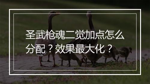 圣武枪魂二觉加点怎么分配？效果最大化？