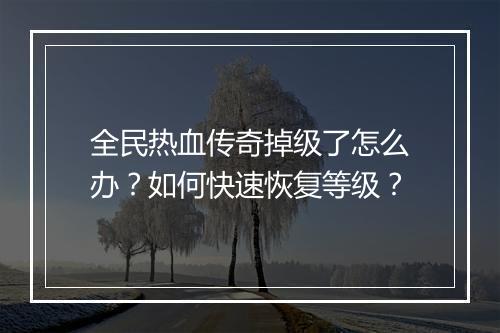 全民热血传奇掉级了怎么办？如何快速恢复等级？