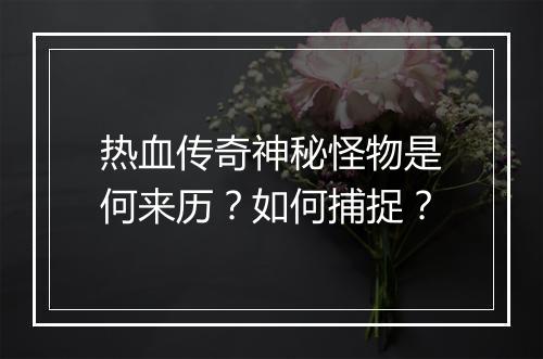 热血传奇神秘怪物是何来历？如何捕捉？