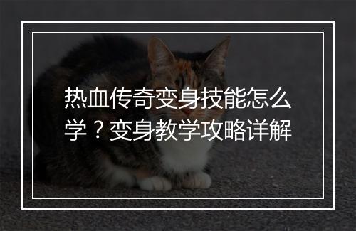 热血传奇变身技能怎么学？变身教学攻略详解