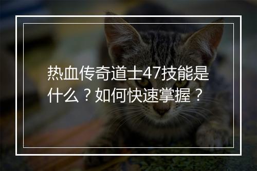 热血传奇道士47技能是什么？如何快速掌握？