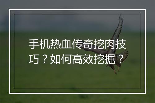 手机热血传奇挖肉技巧？如何高效挖掘？