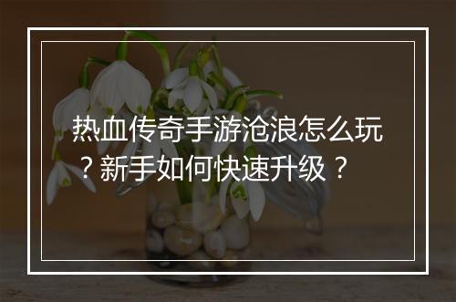 热血传奇手游沧浪怎么玩？新手如何快速升级？