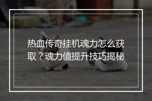 热血传奇挂机魂力怎么获取？魂力值提升技巧揭秘