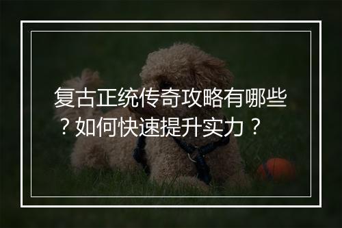复古正统传奇攻略有哪些？如何快速提升实力？