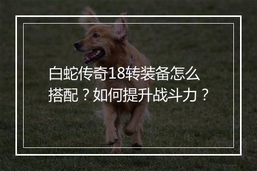 白蛇传奇18转装备怎么搭配？如何提升战斗力？