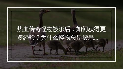 热血传奇怪物被杀后，如何获得更多经验？为什么怪物总是被杀？