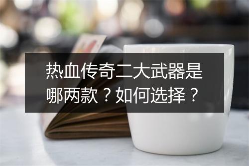 热血传奇二大武器是哪两款？如何选择？