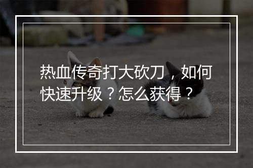 热血传奇打大砍刀，如何快速升级？怎么获得？