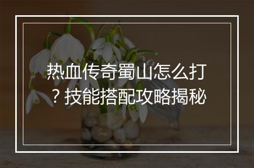 热血传奇蜀山怎么打？技能搭配攻略揭秘