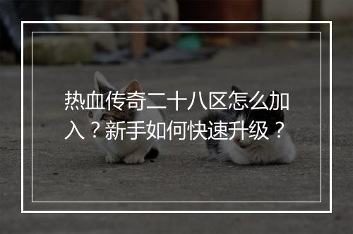 热血传奇二十八区怎么加入？新手如何快速升级？