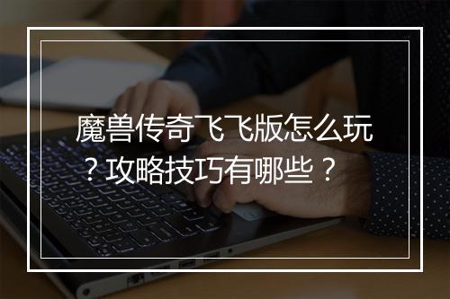 魔兽传奇飞飞版怎么玩？攻略技巧有哪些？
